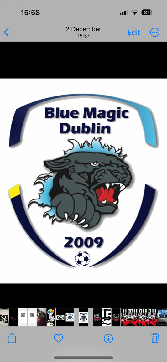 Dublin Logo Rug